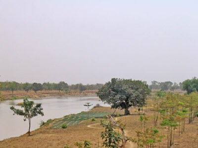 Onion farms at Volta Beds